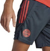 FC Bayern München Tiro 25 Competition Training Short Kids
