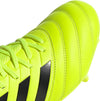 copa 19.3 fg