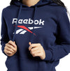 Cl F Big Logo Hoodie Ft