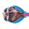 JR VANQ 3.0 MIR