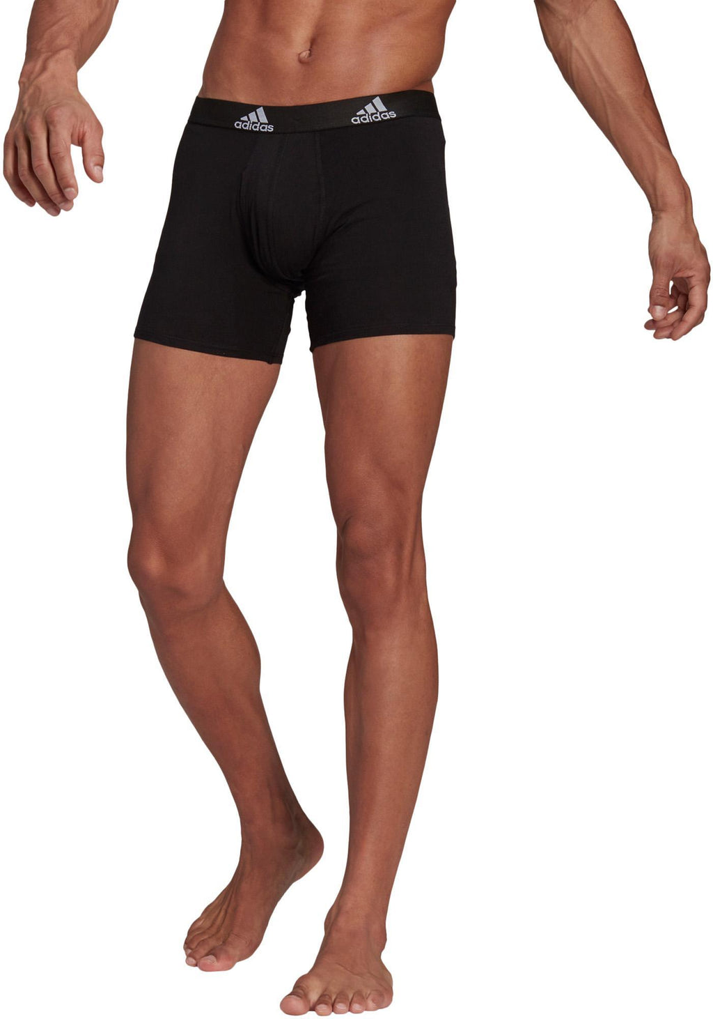 Bos Brief 3pp