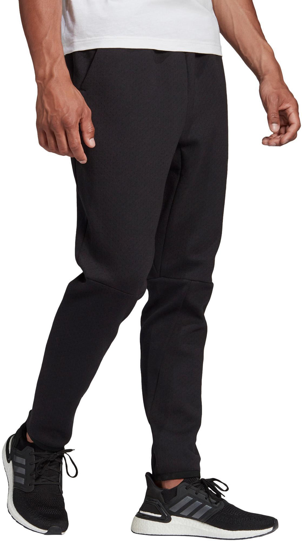 Zne Pant
