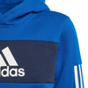 Sport ID Pullover kids hoodie