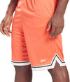 Wor Mesh Short