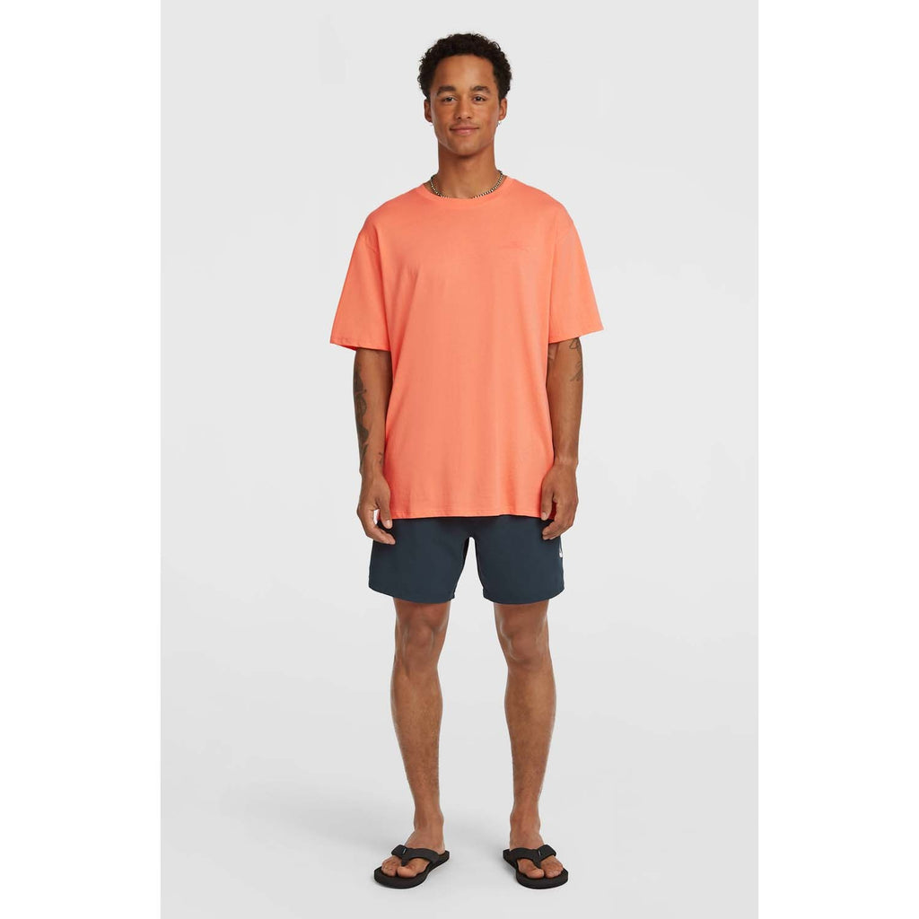 Small Logo T-shirt strand