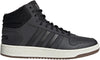 Hoops 2.0 Mid sneakers