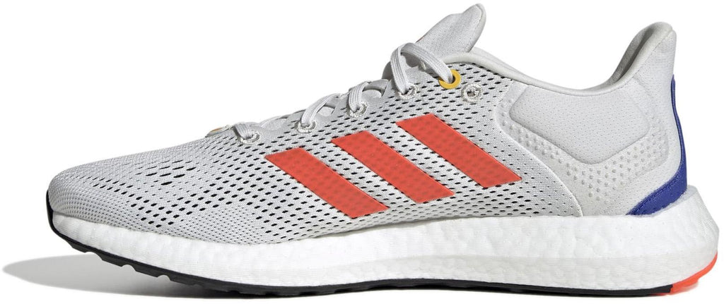 Pureboost 21