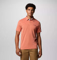 Nelson Point Polo