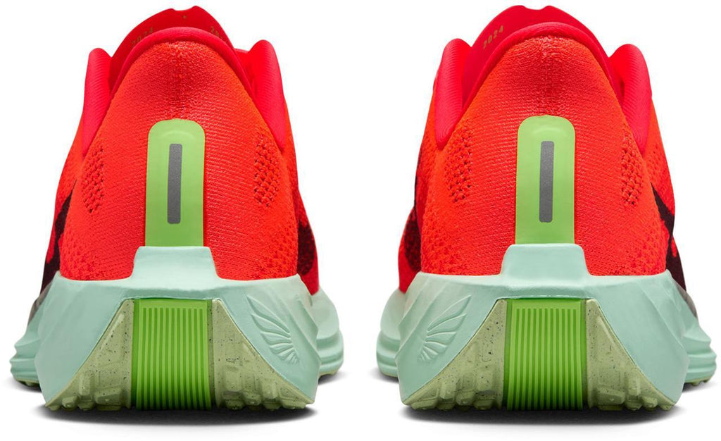 Pegasus Plus hardloopschoenen