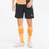 TEAMLIGA TRAINING SHORTS 2 (OP, PUMA BLACK-OCEA, XL