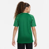 Nike Dri-fit Academy Big Kids' Socc