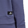 Sportswear Future Icons hoodie