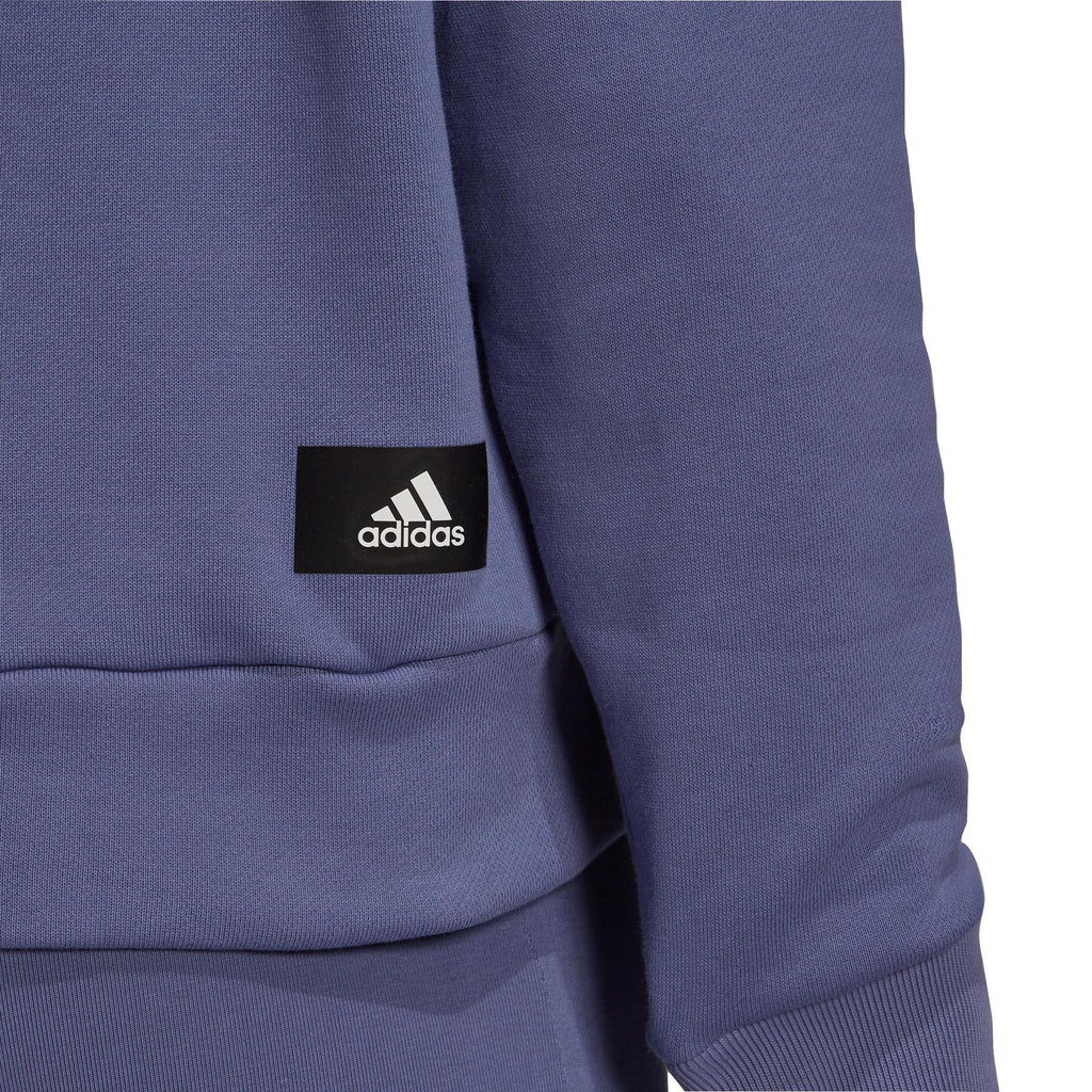 Sportswear Future Icons hoodie
