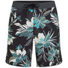 Hyperfreak Mysto Scallop 19 Bo Zwemshort
