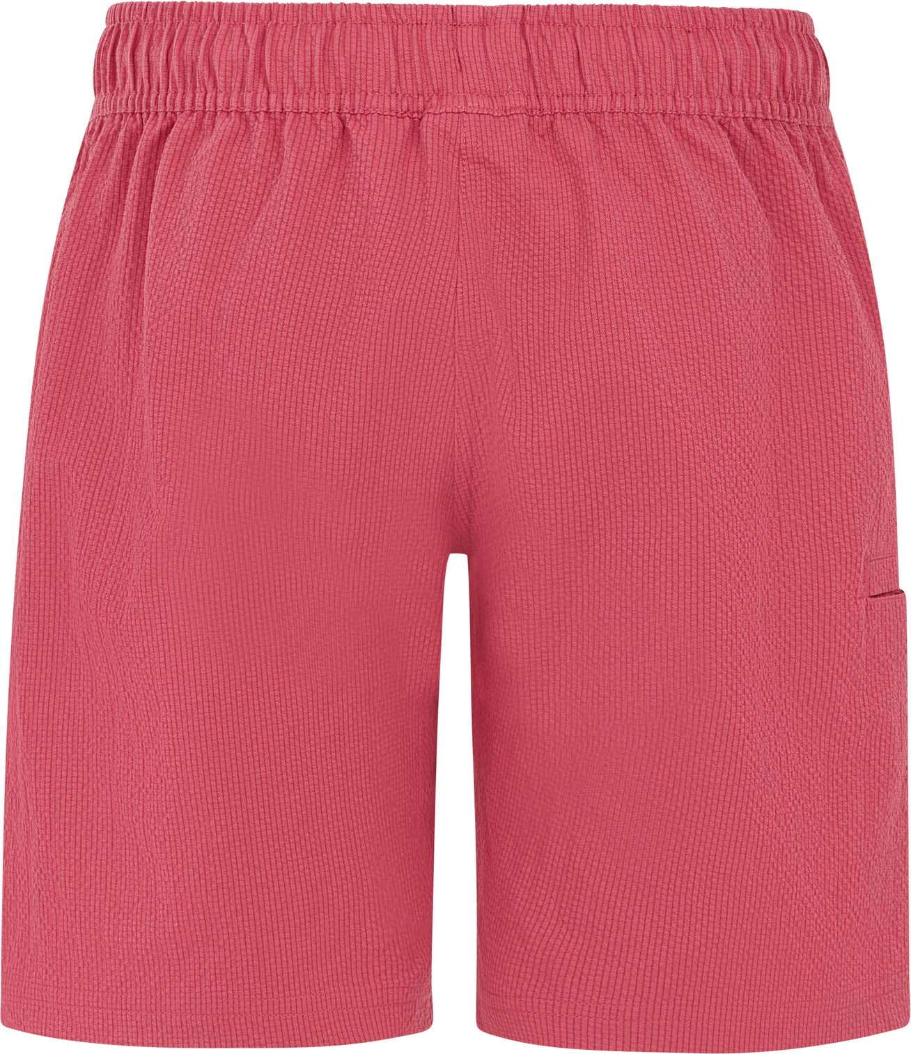 Prthaily kids short