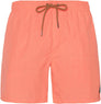 Faster Beachshort