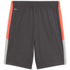 individualLIGA Training Shorts Jr