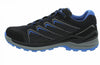 Ferrox Pro GTX Lo wandelschoenen