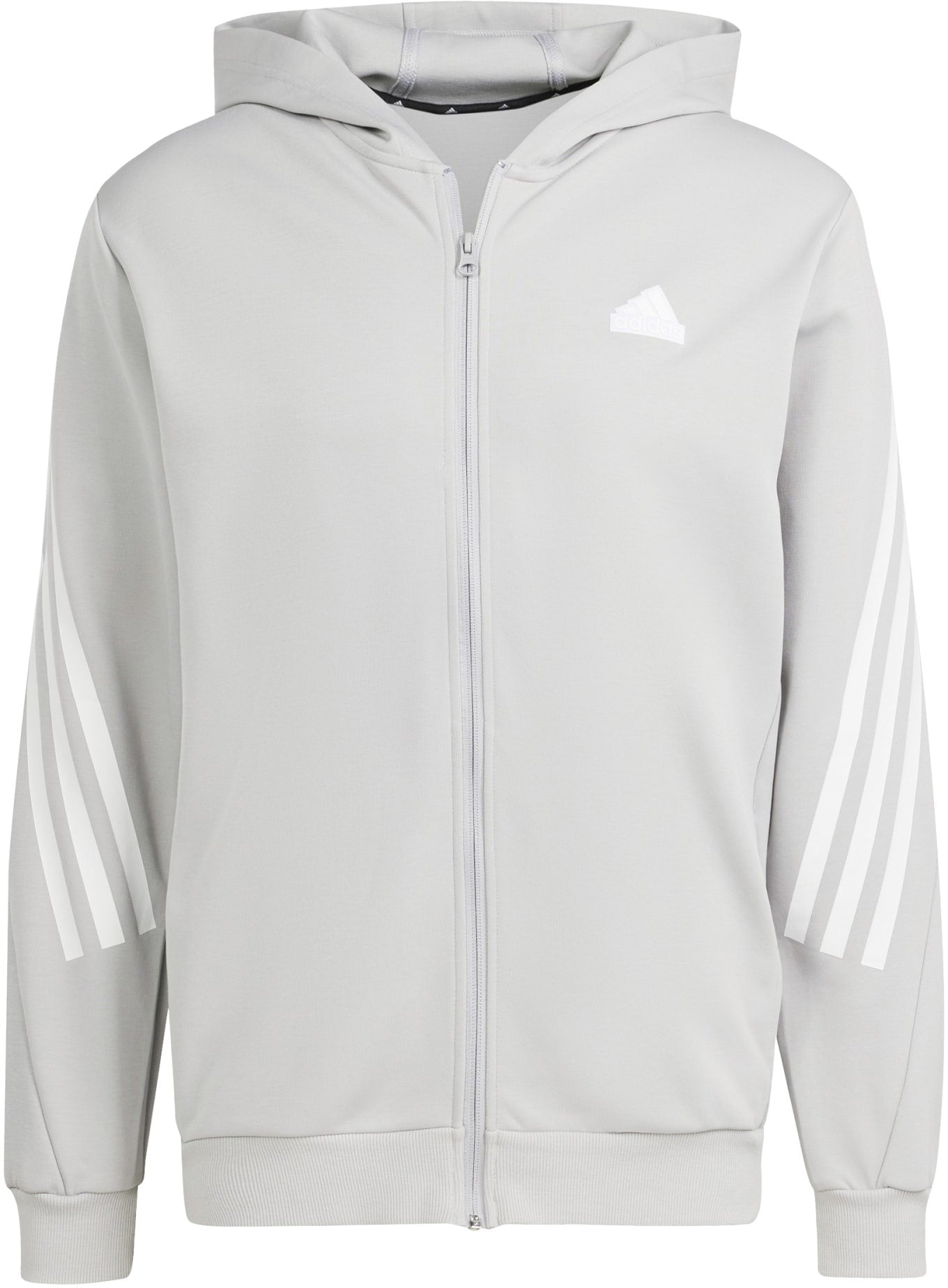 Future Icons 3-Stripes ritshoodie