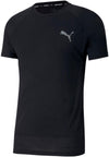 evostripe tee