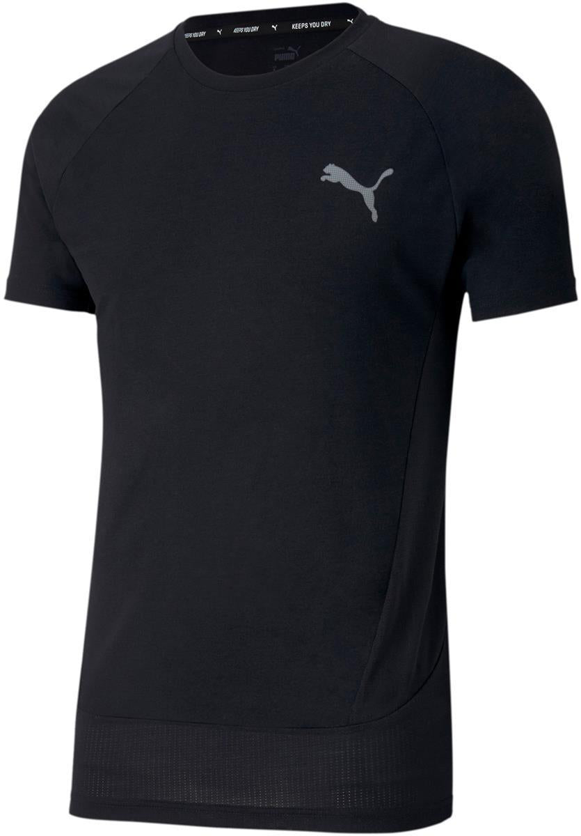 evostripe tee