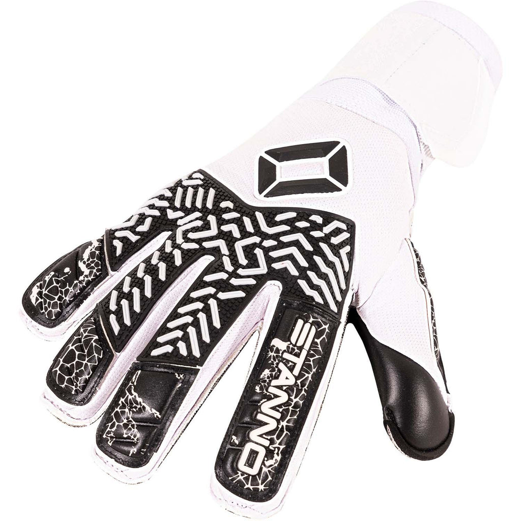 stanno volare match iii goalkeeper