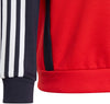 Colorblock Sweatshirt