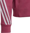 Future Icons 3-Stripes ritshoodie