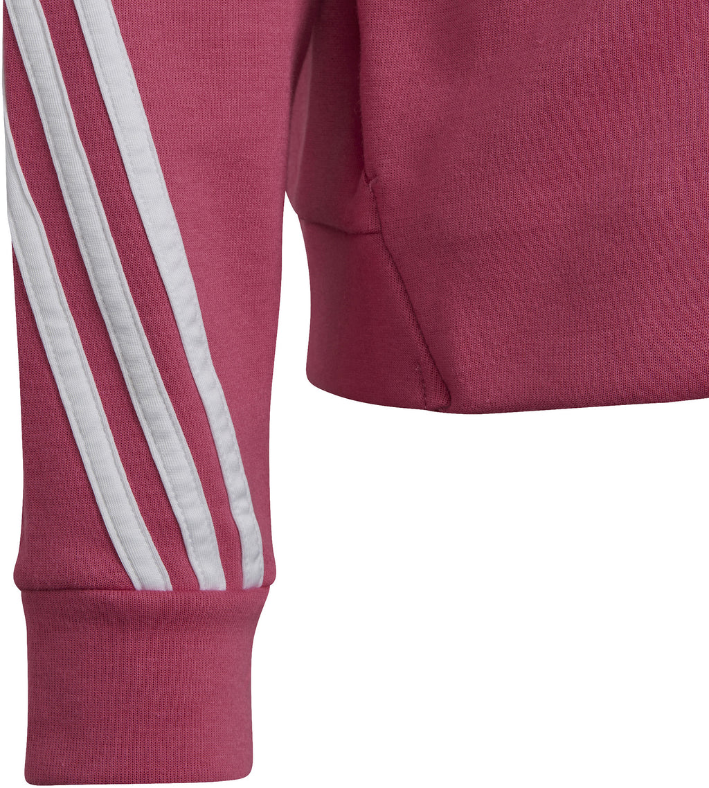 Future Icons 3-Stripes ritshoodie