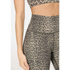 windia w printed tights