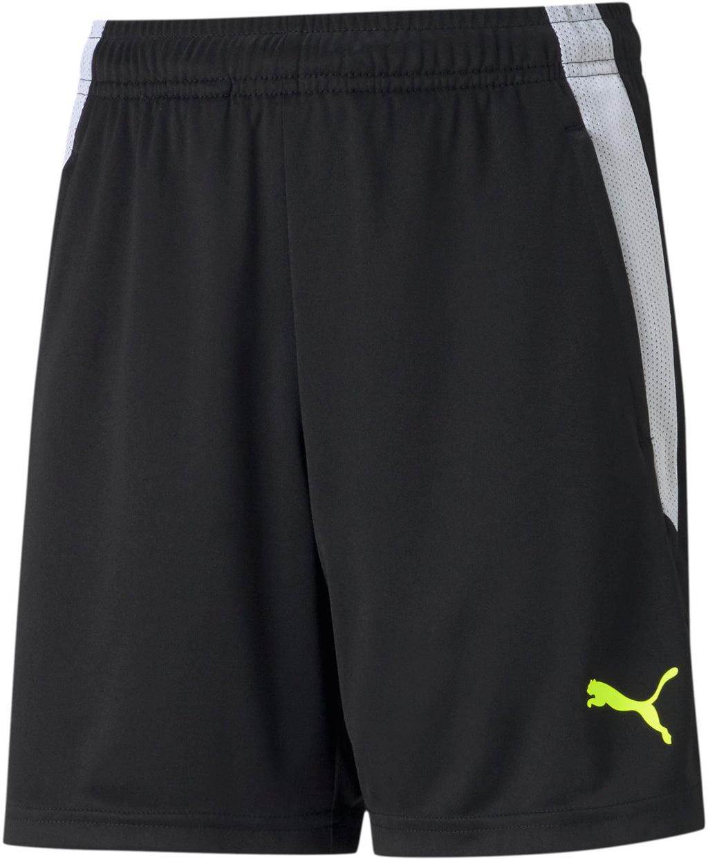 Teamliga Training Shorts Jr