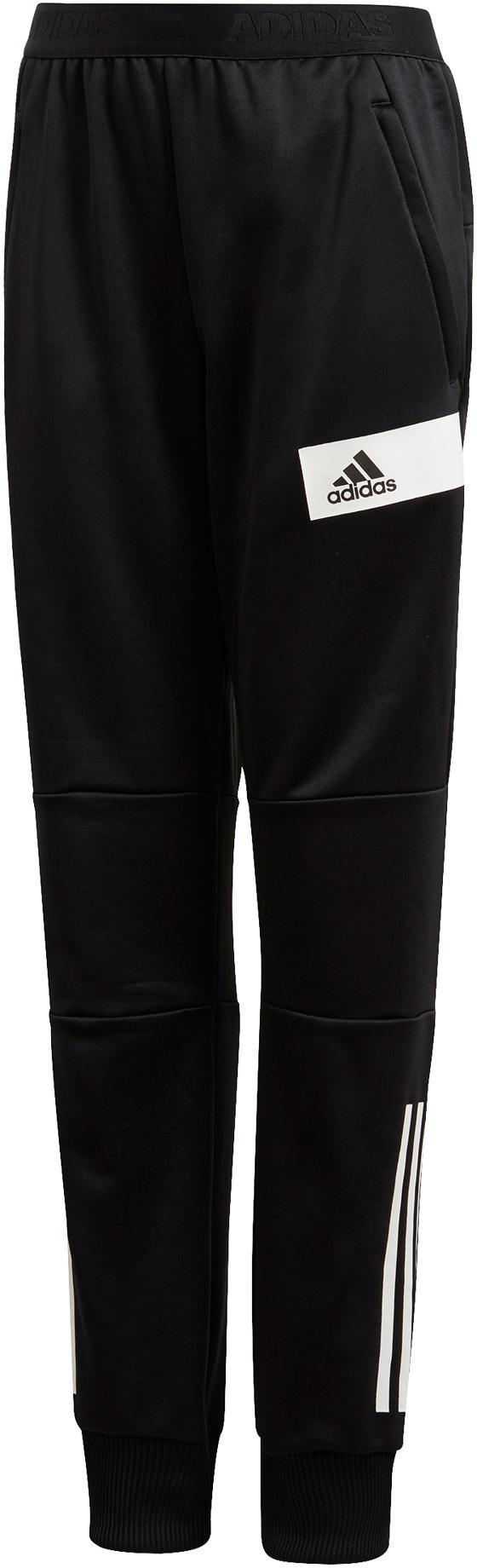 yb tr tap pant