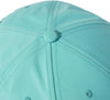 Mercedes - AMG Petronas Formula One Team Driver Pet