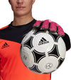 Pred GL MTC FSTW-Handschuh