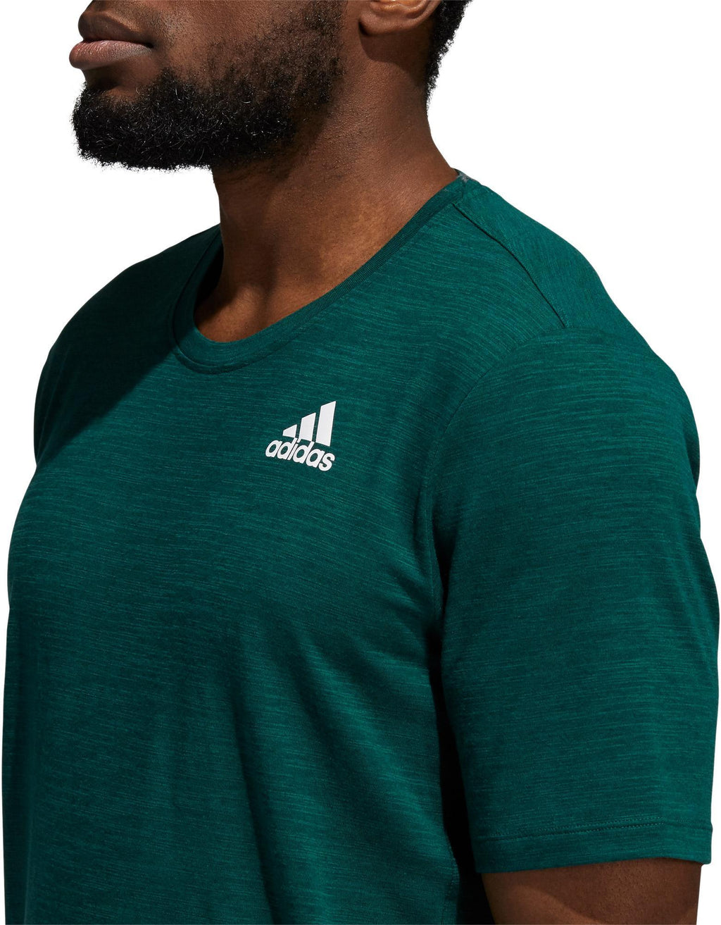 City Elevated T