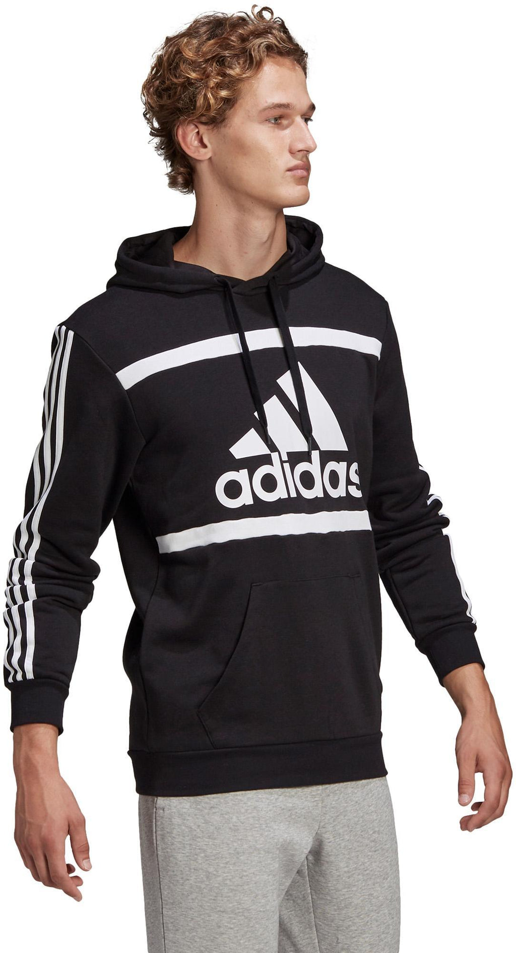 Essentials Logo Colorblock Hoodie