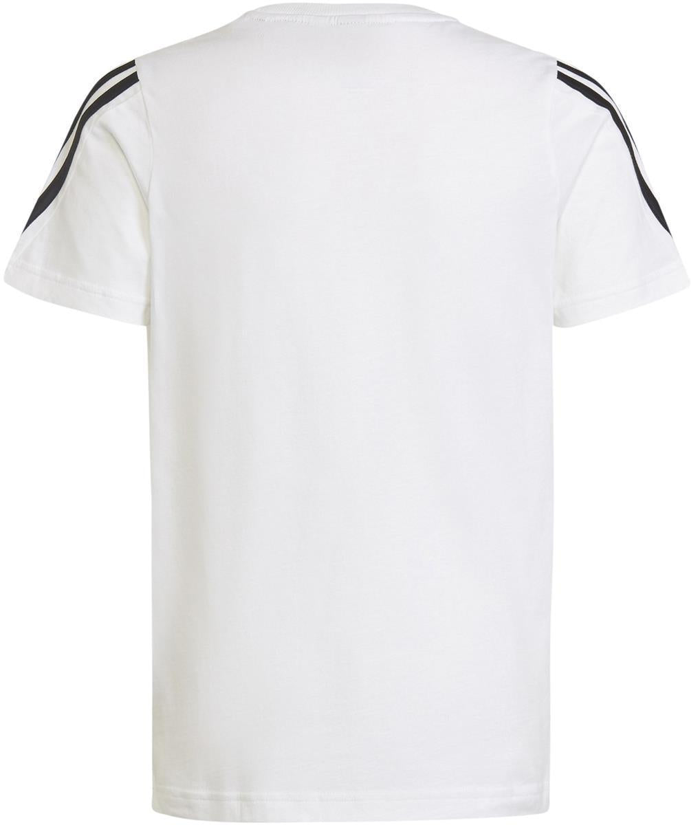B FI 3S TEE