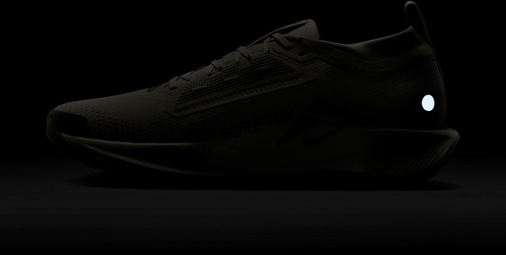 Pegasus Trail 5 gore-tex hardloopschoenen