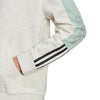 Essentials Logo Colorblock Hoodie
