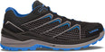 Ferrox Pro GTX Lo wandelschoenen