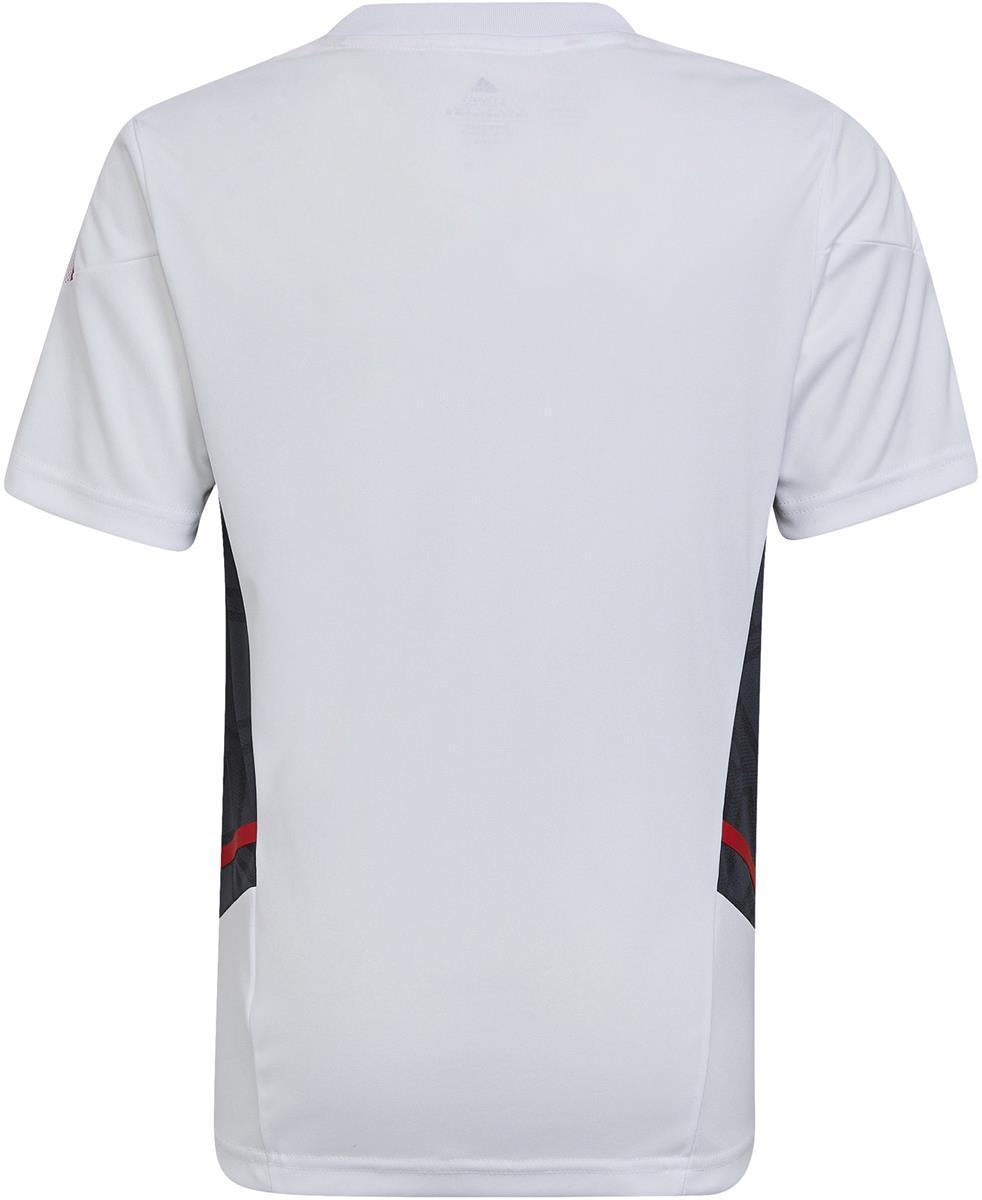 Sprint Trekker Super Ox shirt