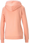 Amplified Hoodie
