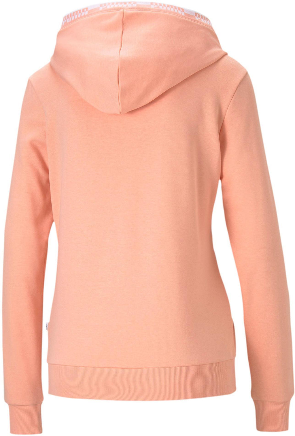 Amplified Hoodie