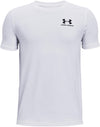 Ua Cotton Ss