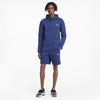 Evostripe Shorts