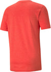 Train Fav Heather Cat Ss Tee