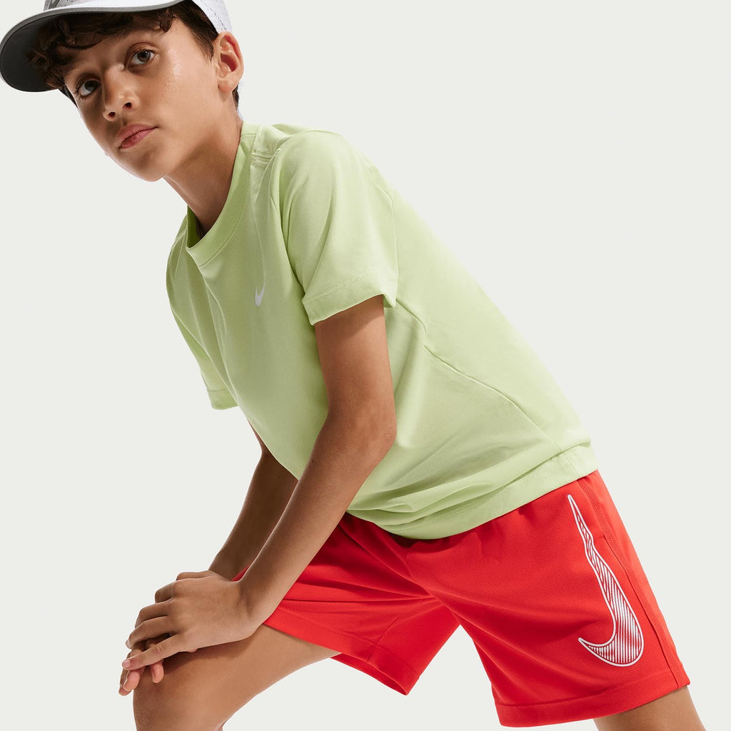 Dri-fit  Multi Shorts