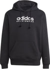 All SZN Fleece Graphic hoodie