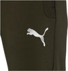 evostripe pants