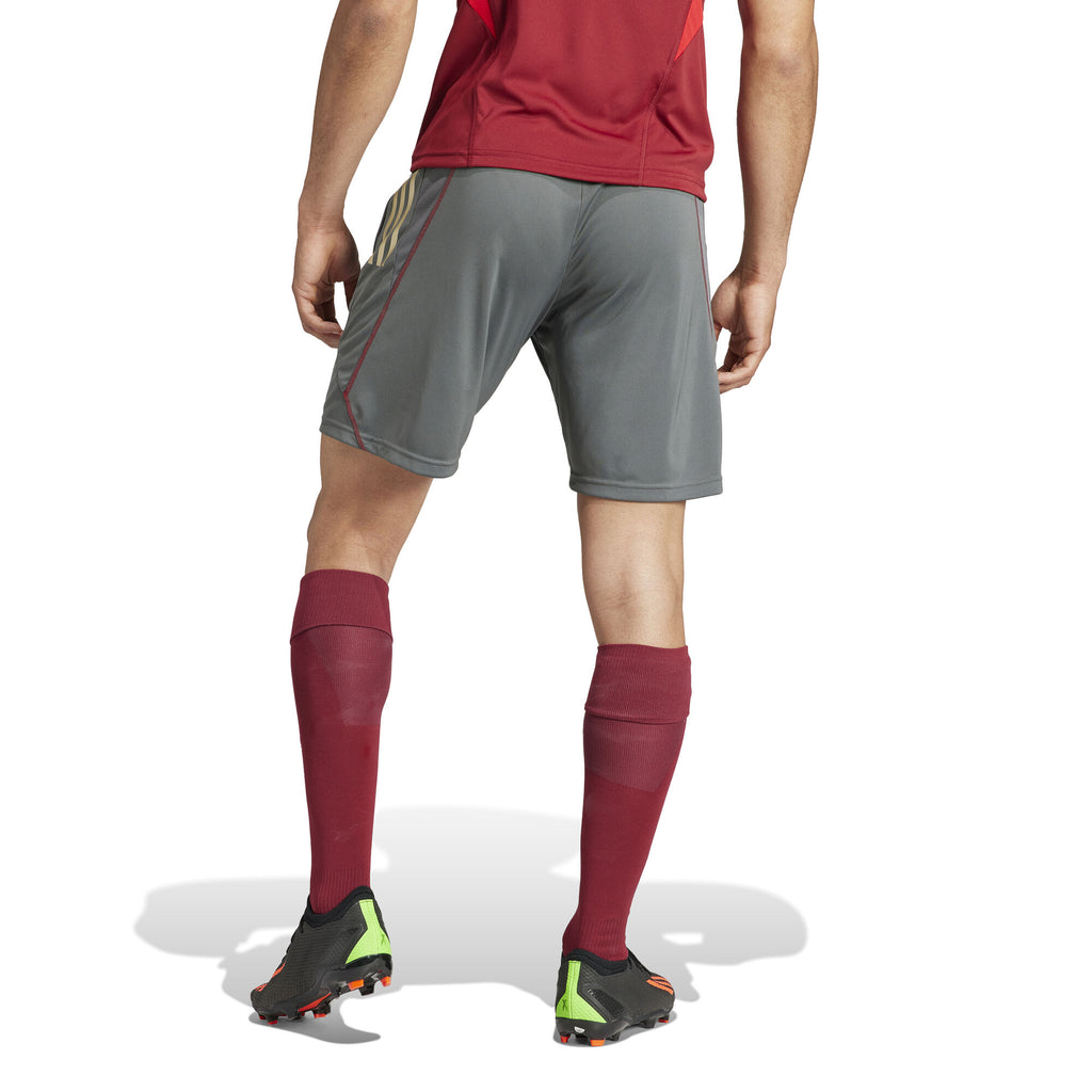 Arsenal Tiro 23 trainingsshort